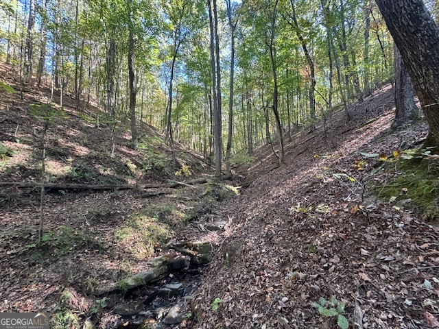 902 Pinyan Road Southeast Ranger, GA 30734 - Photo 39 of 60 a view of a forest with trees