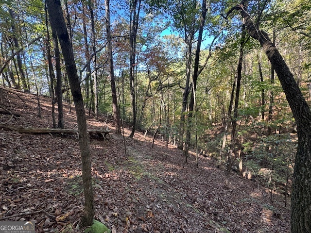 902 Pinyan Road Southeast Ranger, GA 30734 - Photo 41 of 60 a view of yard