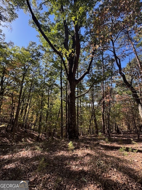 902 Pinyan Road Southeast Ranger, GA 30734 - Photo 43 of 60 a backyard of a house with lots of green space