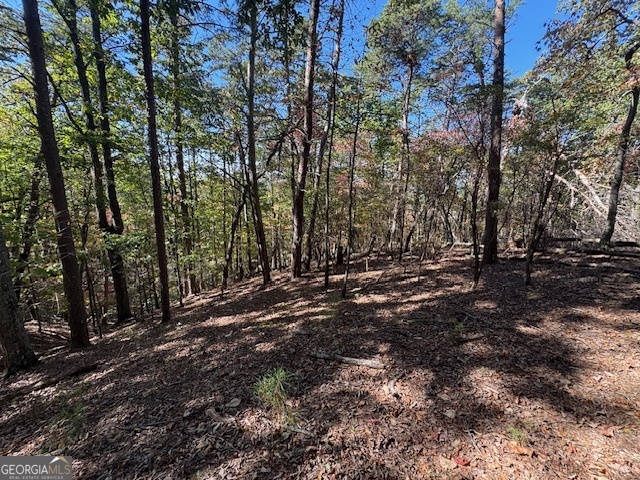 902 Pinyan Road Southeast Ranger, GA 30734 - Photo 44 of 60 a view of outdoor space with trees