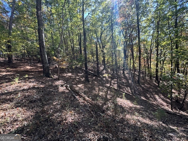 902 Pinyan Road Southeast Ranger, GA 30734 - Photo 45 of 60 a view of forest