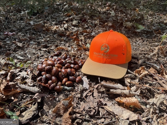 902 Pinyan Road Southeast Ranger, GA 30734 - Photo 46 of 60