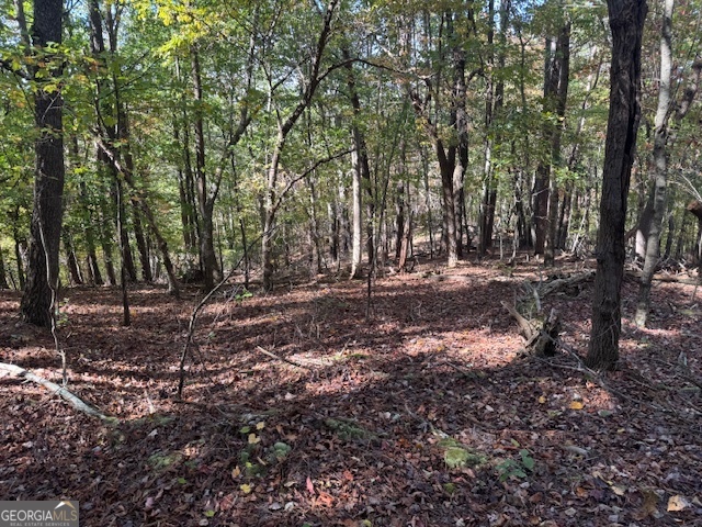 902 Pinyan Road Southeast Ranger, GA 30734 - Photo 47 of 60