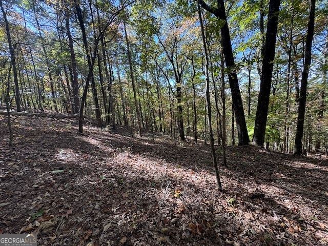902 Pinyan Road Southeast Ranger, GA 30734 - Photo 49 of 60 a view of a forest with trees