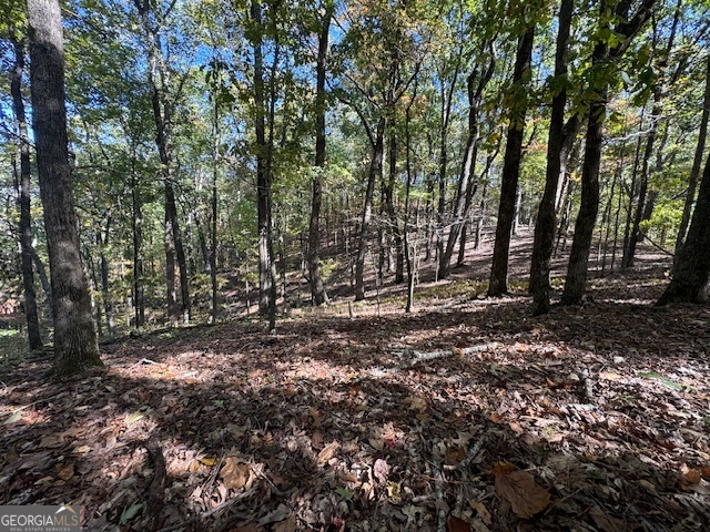 902 Pinyan Road Southeast Ranger, GA 30734 - Photo 50 of 60 a view of outdoor space with trees