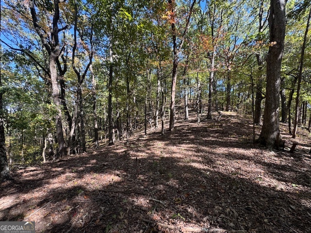 902 Pinyan Road Southeast Ranger, GA 30734 - Photo 51 of 60