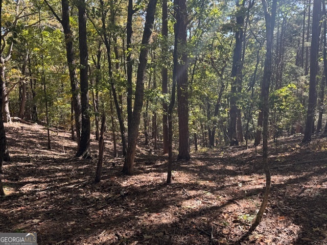902 Pinyan Road Southeast Ranger, GA 30734 - Photo 52 of 60 a view of outdoor space with deck and trees