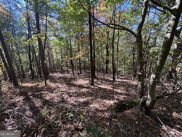 902 Pinyan Road Southeast Ranger, GA 30734 - Photo 53 of 60 a view of outdoor space with lots of trees