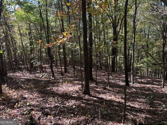 902 Pinyan Road Southeast Ranger, GA 30734 - Photo 54 of 60 a view of a forest filled with trees