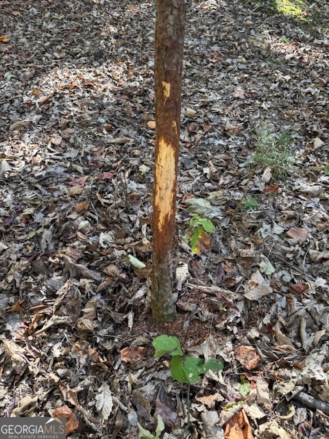 902 Pinyan Road Southeast Ranger, GA 30734 - Photo 55 of 60