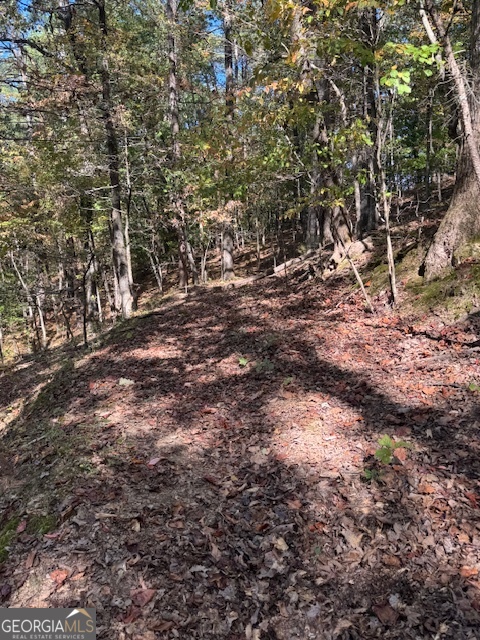 902 Pinyan Road Southeast Ranger, GA 30734 - Photo 56 of 60 a view of a yard with plants and trees