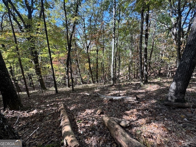 902 Pinyan Road Southeast Ranger, GA 30734 - Photo 57 of 60 a view of forest