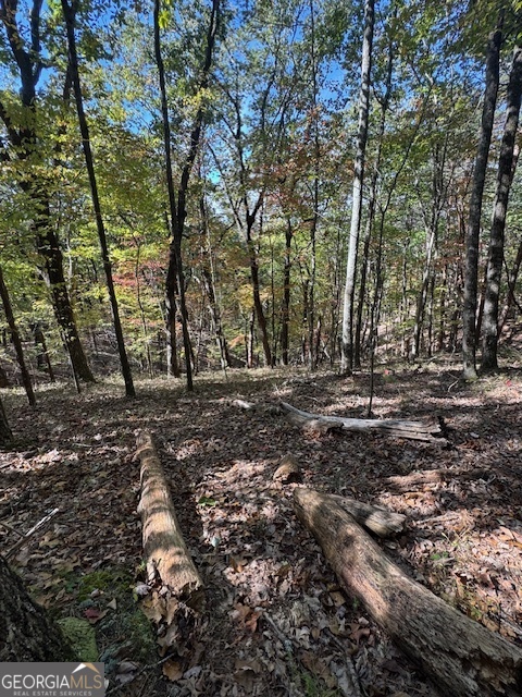 902 Pinyan Road Southeast Ranger, GA 30734 - Photo 58 of 60 a view of outdoor space with lots of trees