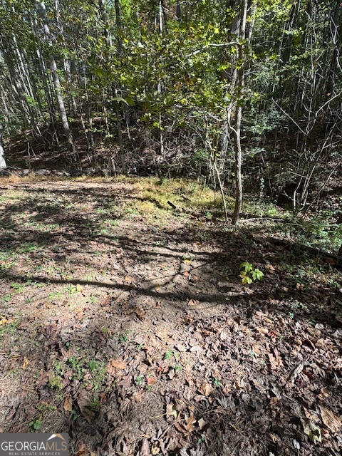 902 Pinyan Road Southeast Ranger, GA 30734 - Photo 59 of 60 a view of a yard with plants and trees