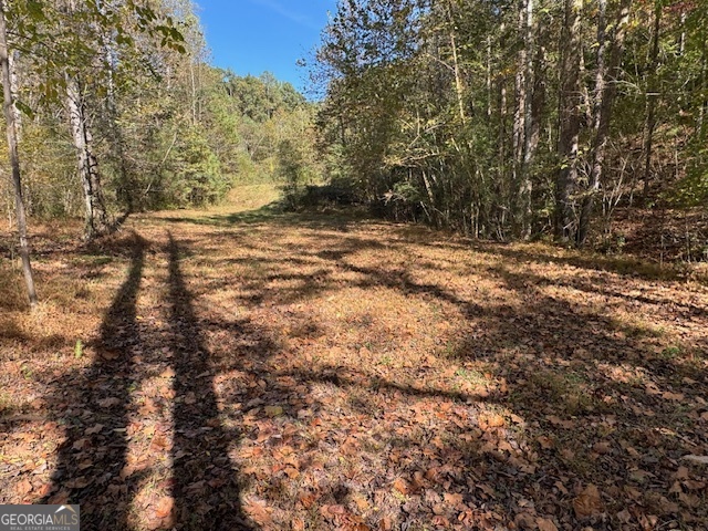902 Pinyan Road Southeast Ranger, GA 30734 - Photo 60 of 60 a view of outdoor space and yard
