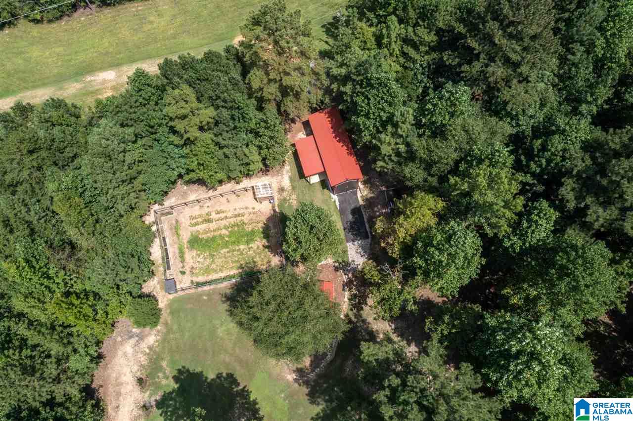 356 Shoal Ridge Drive Leeds, AL 35094 - Photo 48 of 50
