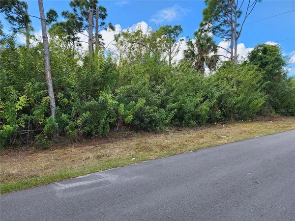 a view of a yard with a tree
