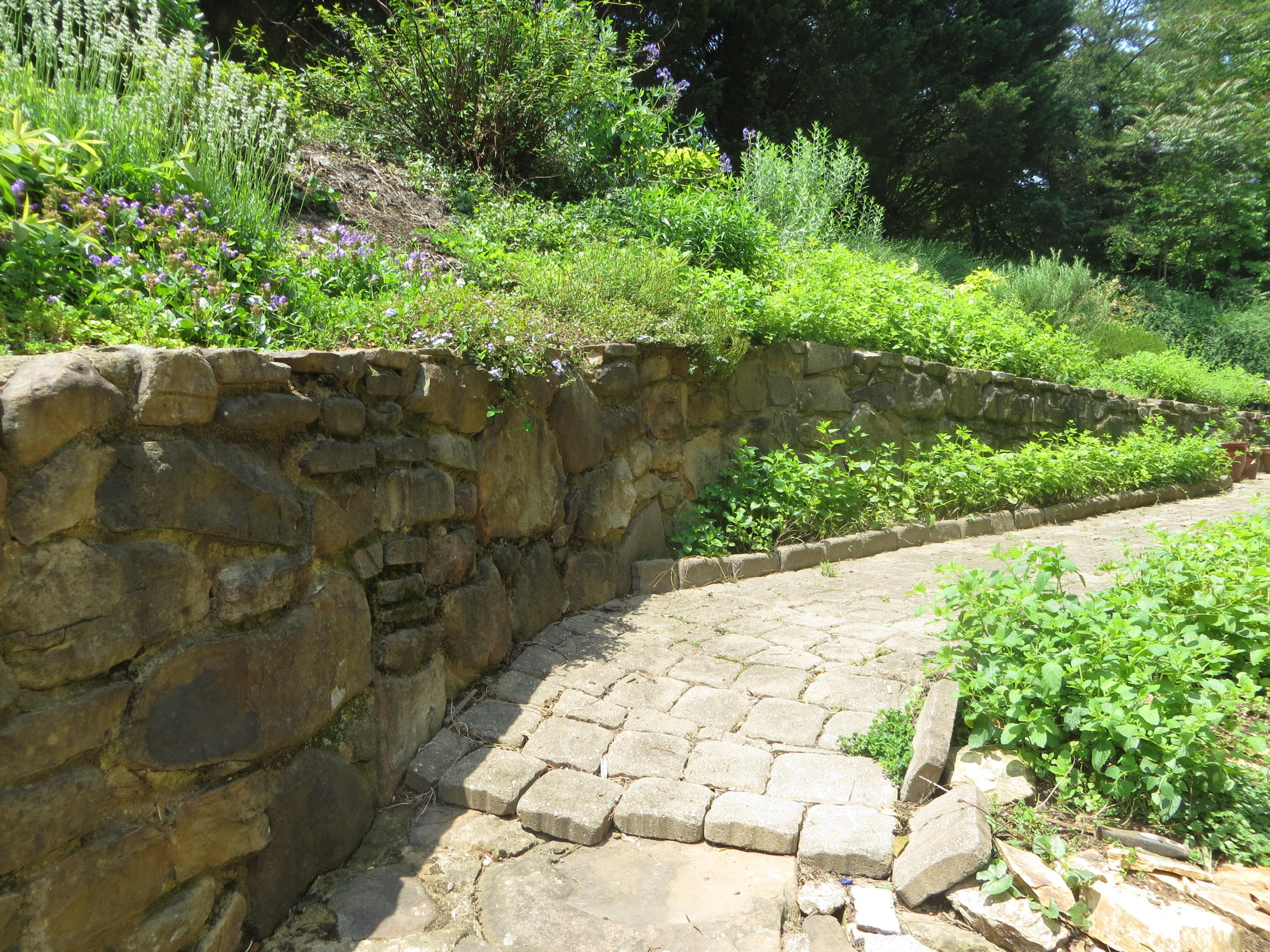 3714 Winding Way Road Southwest Roanoke, VA 24015 - Photo 42 of 42 IMG_4059