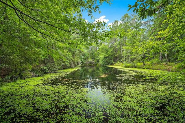 81519 Lavinghouse Road Bush, LA 70431 - Photo 24 of 25