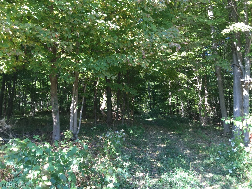 17869 Workman Road Danville, OH 43014 - Photo 12 of 25 Gallery Image 12