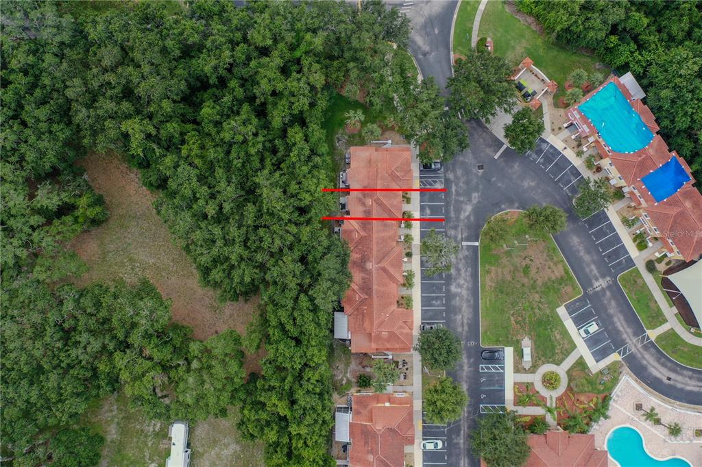 1003 Park Ridge Circle Kissimmee, FL 34746 - Photo 29 of 29
