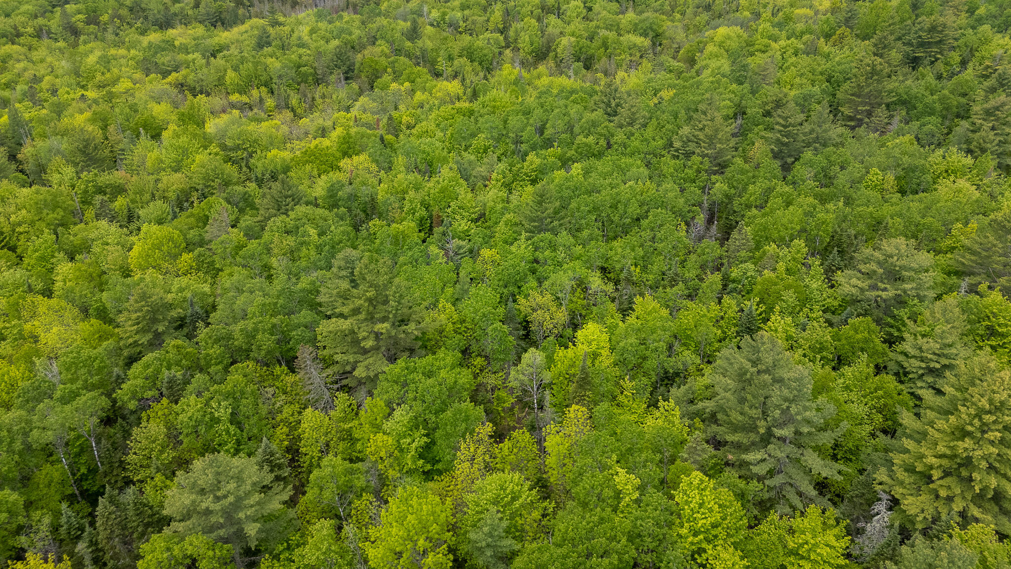 M5-l28 Cemetery Road Guilford, ME 04443 - Photo 47 of 58 DJI_20260602111949_0473_D