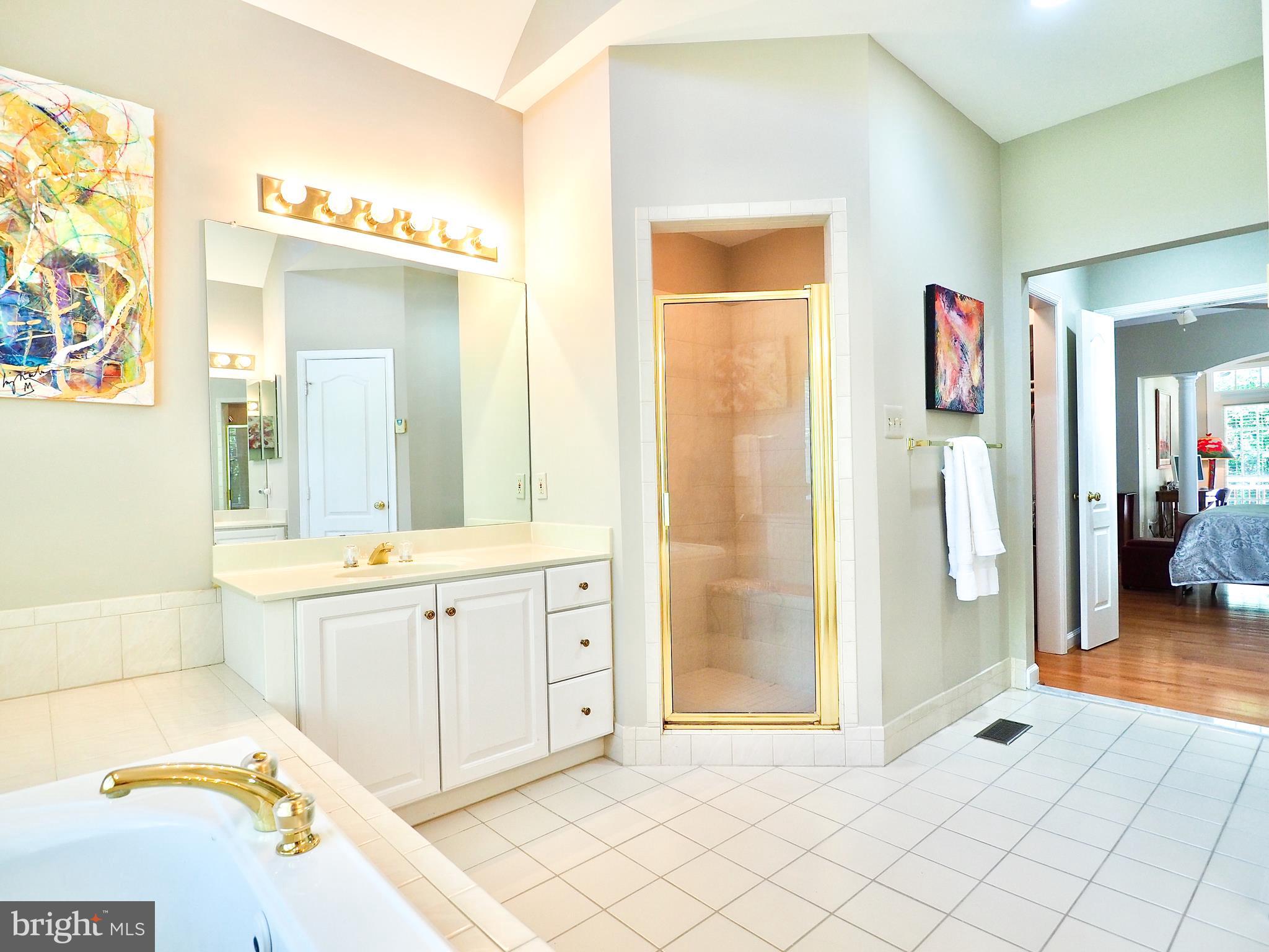 1312 Red Hawk Circle Reston, VA 20194 - Photo 11 of 48 Master full-bath separate shower and water closet