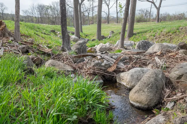 a view of a couches in backyard of house and trees