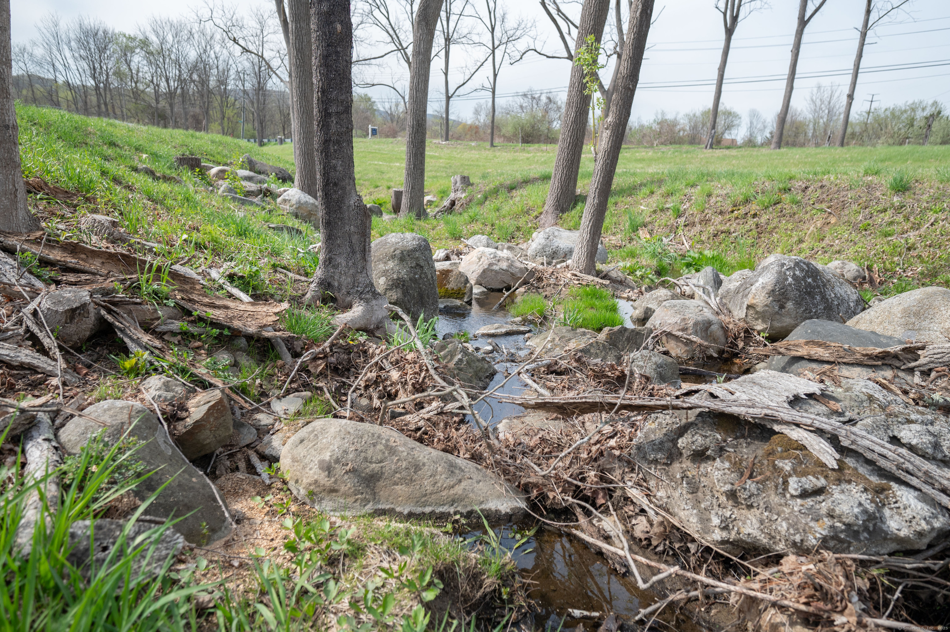 45 Old Pumpkin Hill Road New Milford, CT 06776 - Photo 14 of 19 a view of a garden with plants and large trees