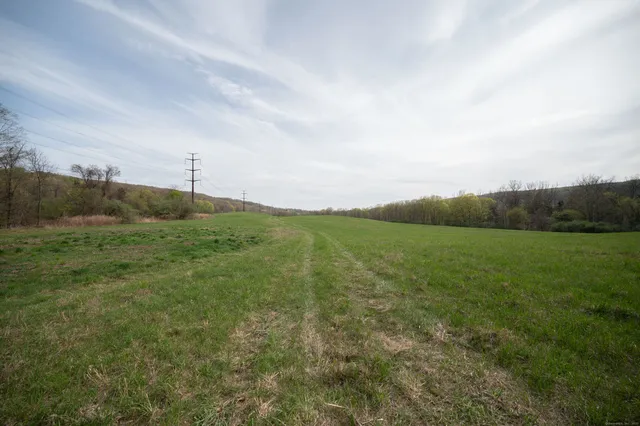 a view of a field with an ocean