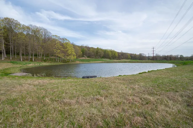 a view of an ocean and beach