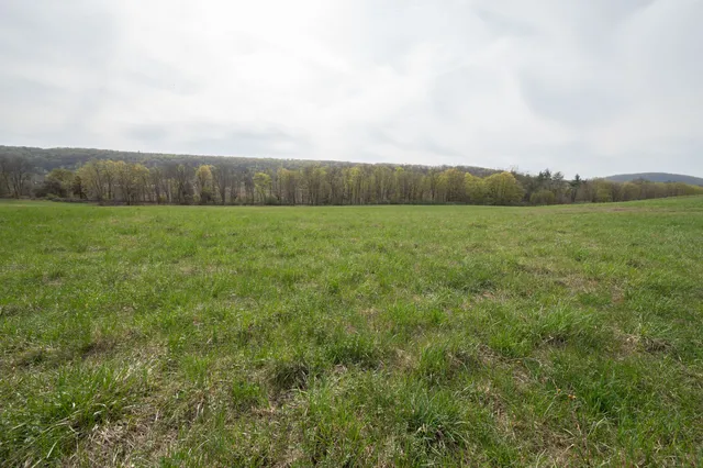 a view of an outdoor space and a yard