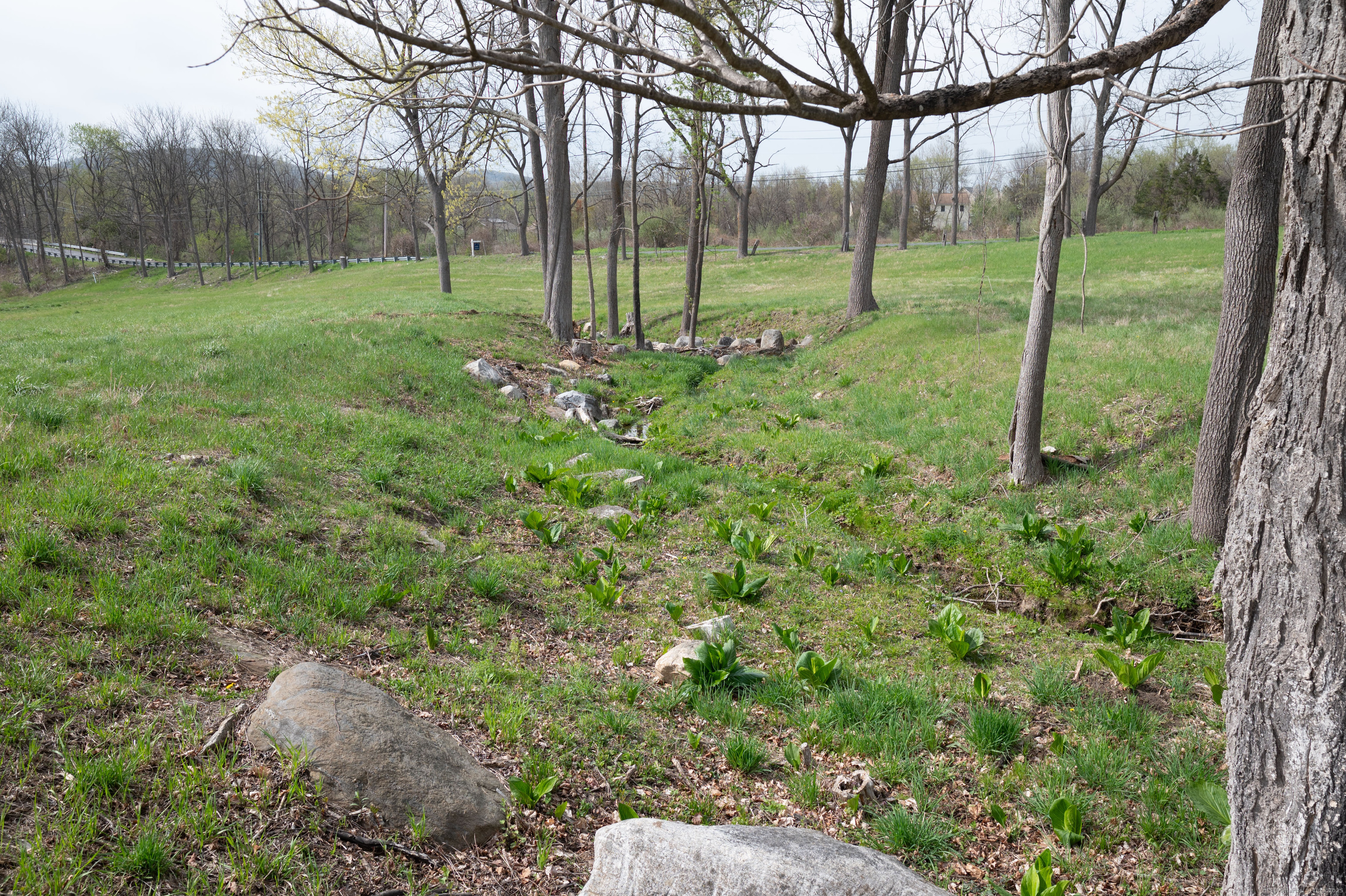 45 Old Pumpkin Hill Road New Milford, CT 06776 - Photo 19 of 19 a view of backyard with green space