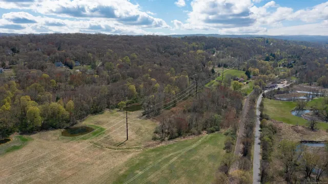 a view of a field with trees in the background