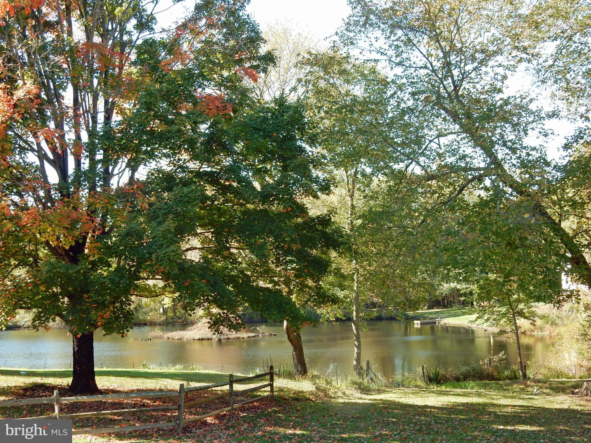 15312 Merrifields Court Silver Spring, MD 20906 - Photo 27 of 30 View of the pond in the autumn
