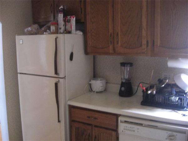 5 Saybrook Street, Unit 1 Boston, MA 02135 - Photo 7 of 9