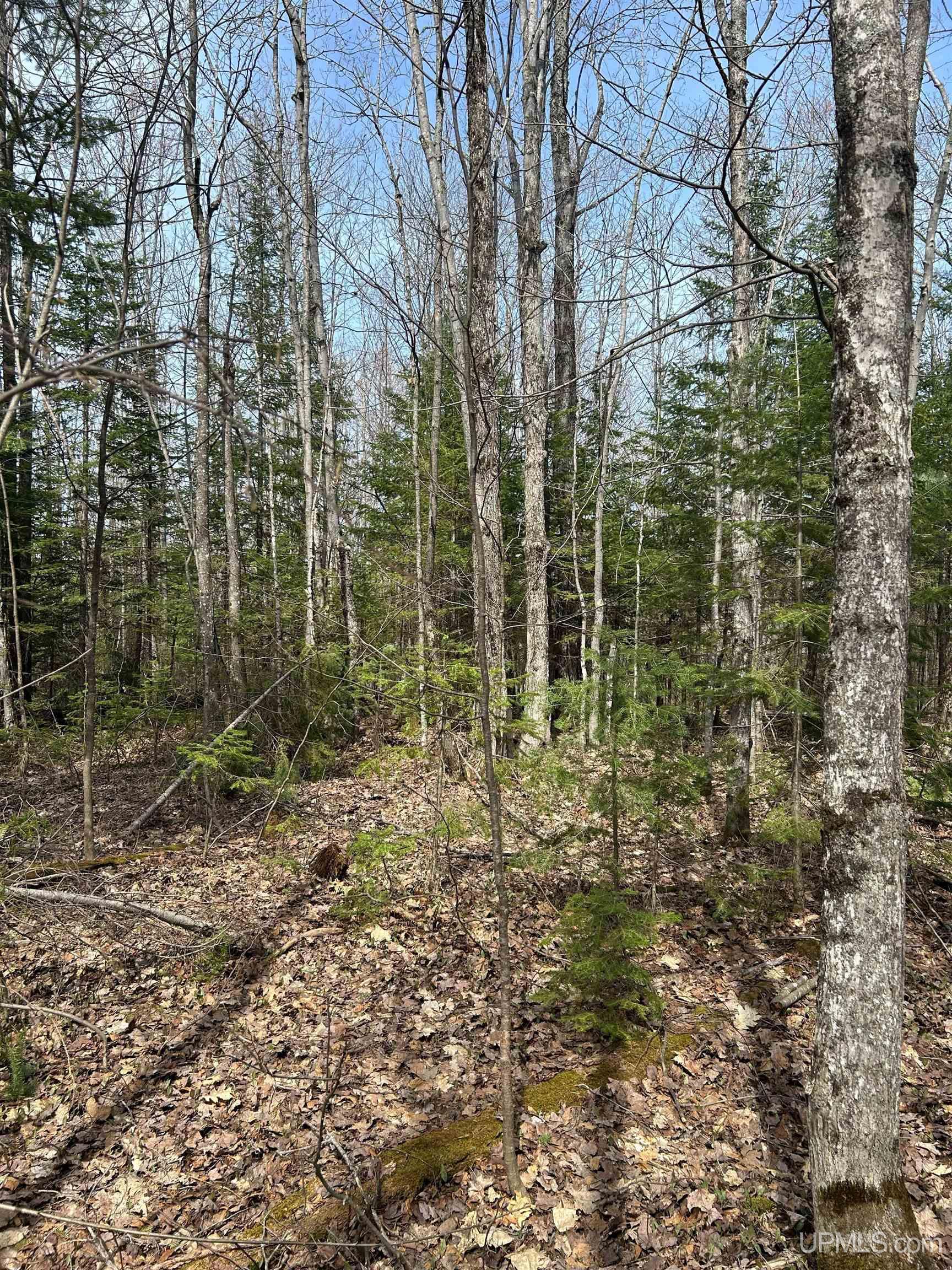 4-10 Firesteel Road Ontonagon, MI 49953 - Photo 4 of 28