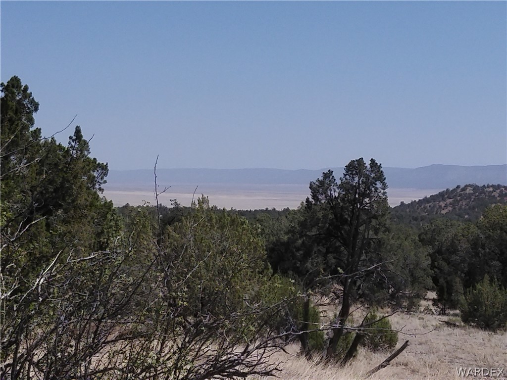 301-31-148 Antelope Run Road Seligman, AZ 86337 - Photo 7 of 8