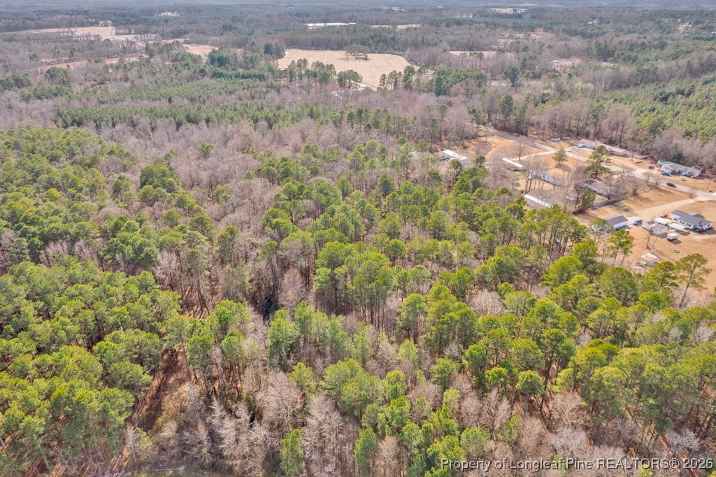 0 Lloyd Stewart Road Broadway, NC 27505 - Photo 14 of 24 a view of a bunch of trees and bushes