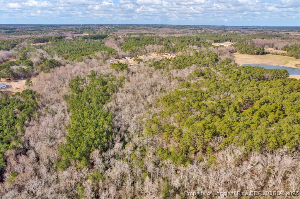 0 Lloyd Stewart Road Broadway, NC 27505 - Photo 15 of 24