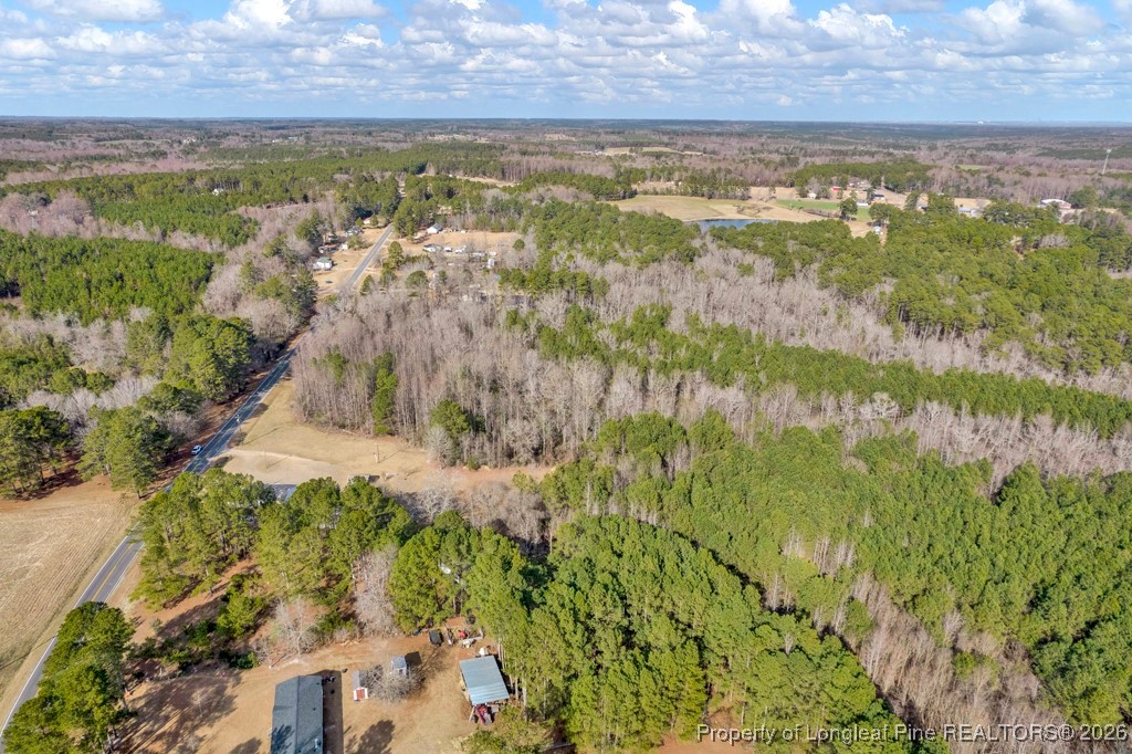 0 Lloyd Stewart Road Broadway, NC 27505 - Photo 16 of 24 a view of lake view and mountain view