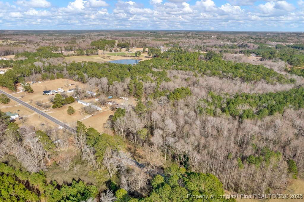 0 Lloyd Stewart Road Broadway, NC 27505 - Photo 18 of 24 a view of lake with city