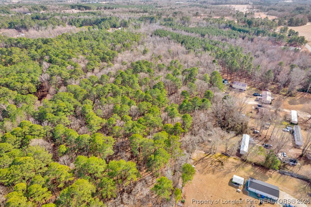 0 Lloyd Stewart Road Broadway, NC 27505 - Photo 21 of 24 a view of a plants in front of a house