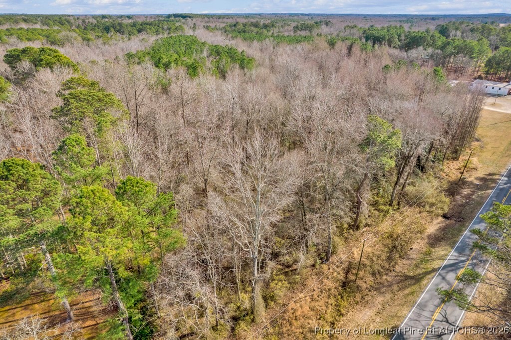 0 Lloyd Stewart Road Broadway, NC 27505 - Photo 23 of 24 a view of a lake with a yard and large trees