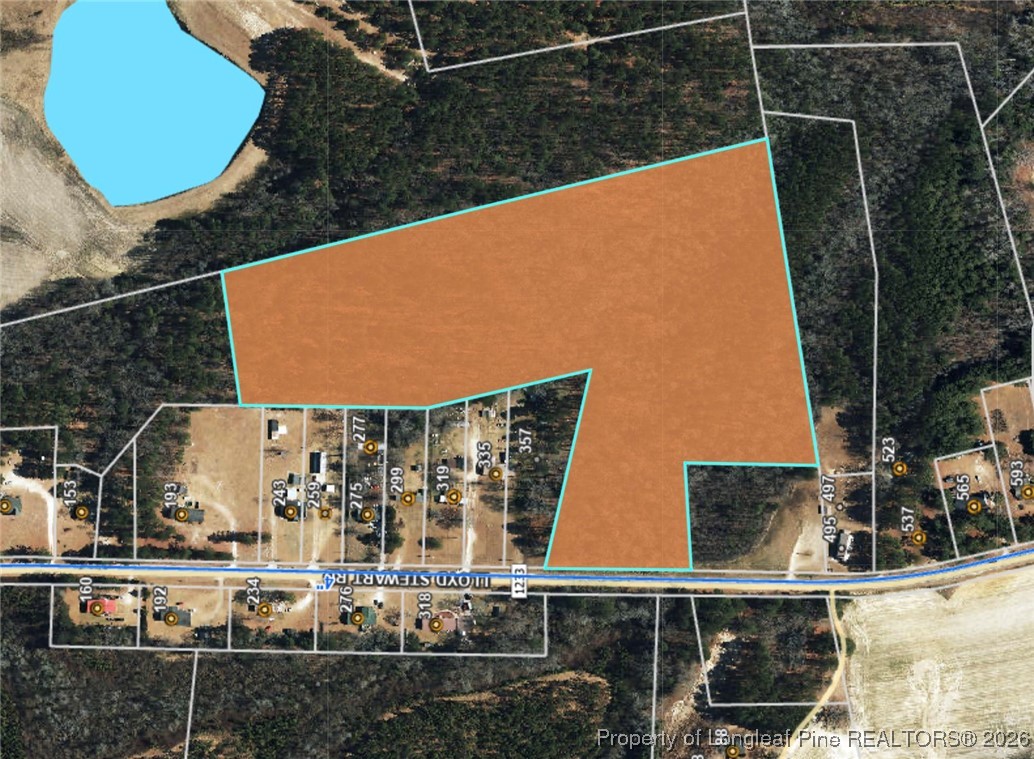 0 Lloyd Stewart Road Broadway, NC 27505 - Photo 3 of 24