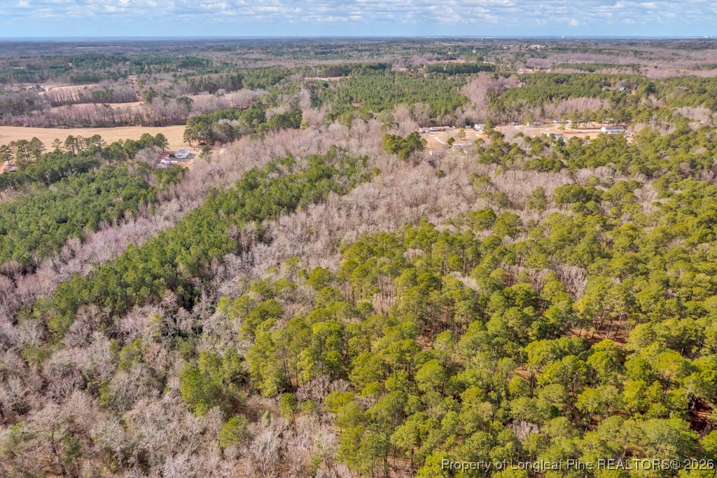 0 Lloyd Stewart Road Broadway, NC 27505 - Photo 5 of 24 a view of a field with an ocean