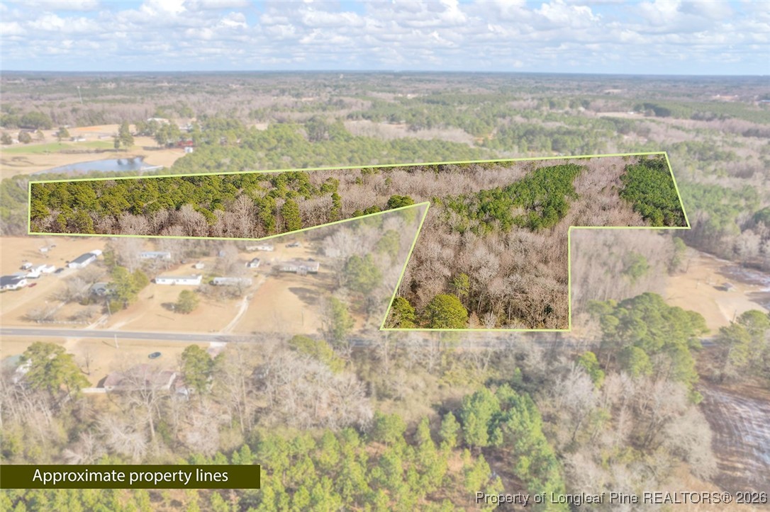 0 Lloyd Stewart Road Broadway, NC 27505 - Photo 6 of 24 a view of lake view