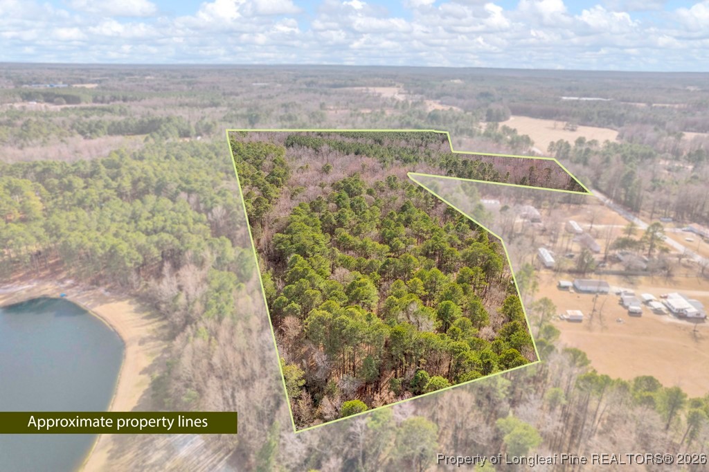 0 Lloyd Stewart Road Broadway, NC 27505 - Photo 8 of 24 a view of a lake view