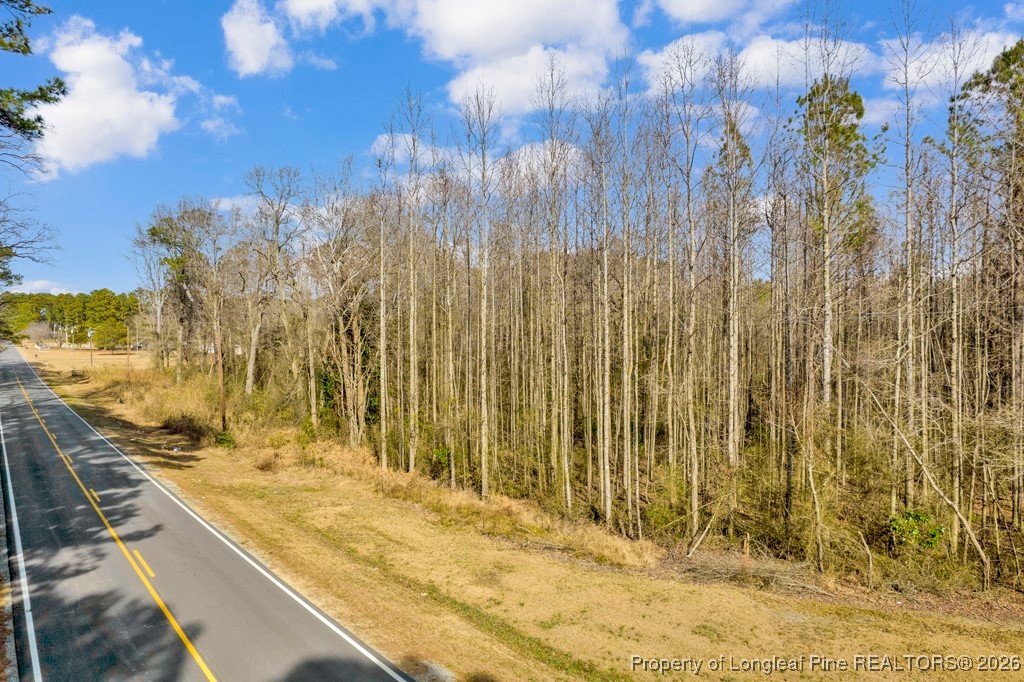 0 Lloyd Stewart Road Broadway, NC 27505 - Photo 10 of 24