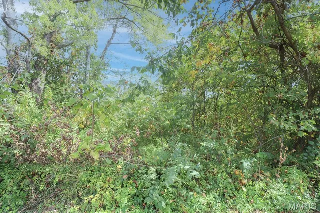 $10,900 | 501 West 5th Street, Dixon, MO 65459